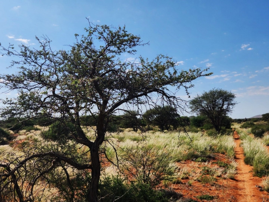 Commercial Property for Sale in Prieska Rural Northern Cape